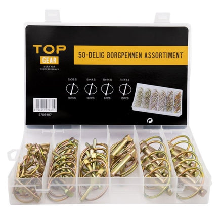 Cantonal Assortiment borgpennen 50-delig