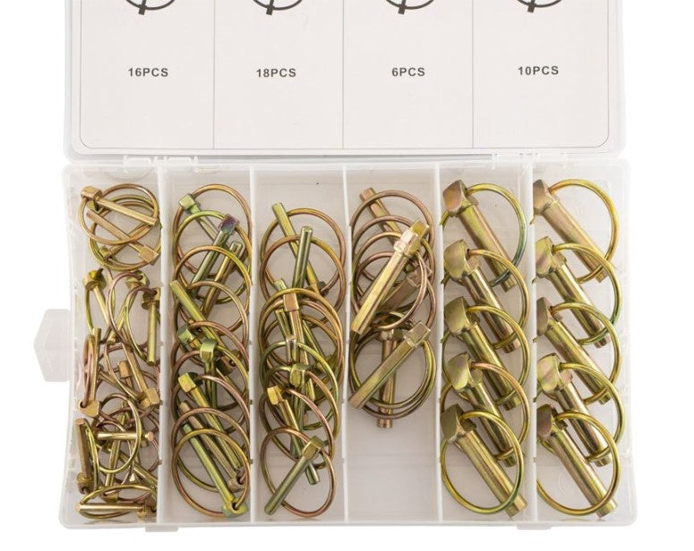 Cantonal Assortiment borgpennen 50-delig