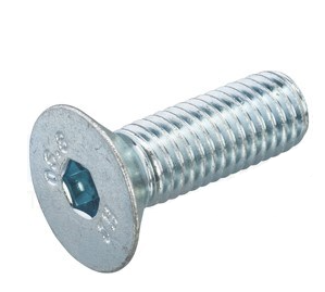 Cantonal Bout M8x30 mm - geschikt voor scharnierhouder