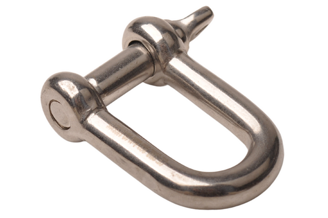 Cantonal Harpsluiting D sluiting 10 mm RVS 316