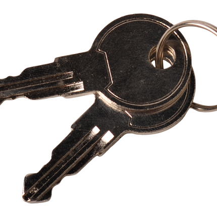 Cantonal Kofferslot RVS 120x90 mm gelijksluitend