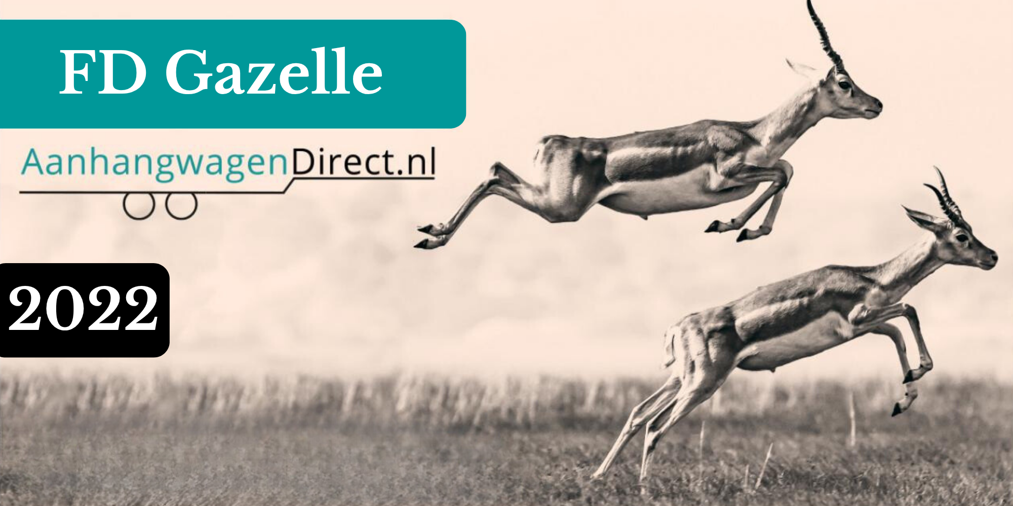 AanhangwagenDirect FD Gazelle  2022
