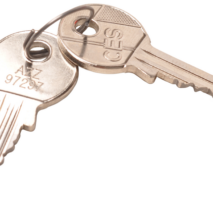 Aanhangwagendirect AL-KO Prosafe wielklem - 13 t/m 17 inch