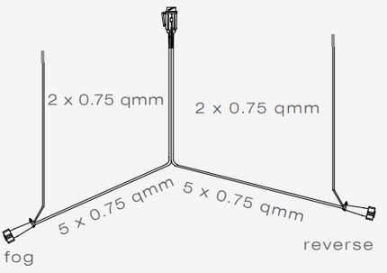 Aspock Aspöck hoofdkabel - 9 meter - 13 polig - 2x 5 polige connector - inclusief aftakkingen