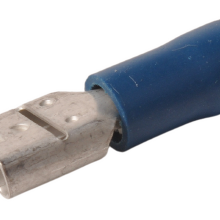 Cantonal AMP stekker 6,3x0,8 vrouwtje (10 stuks)