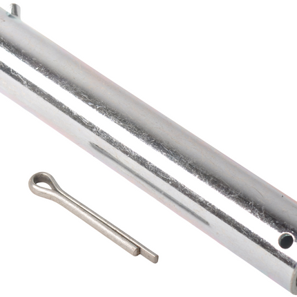 Cantonal Asje met  busmaat  20x115 mm
