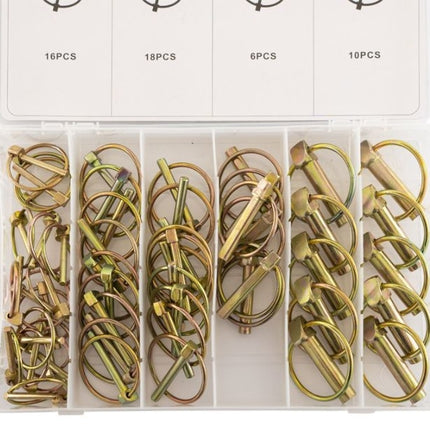 Cantonal Assortiment borgpennen 50-delig