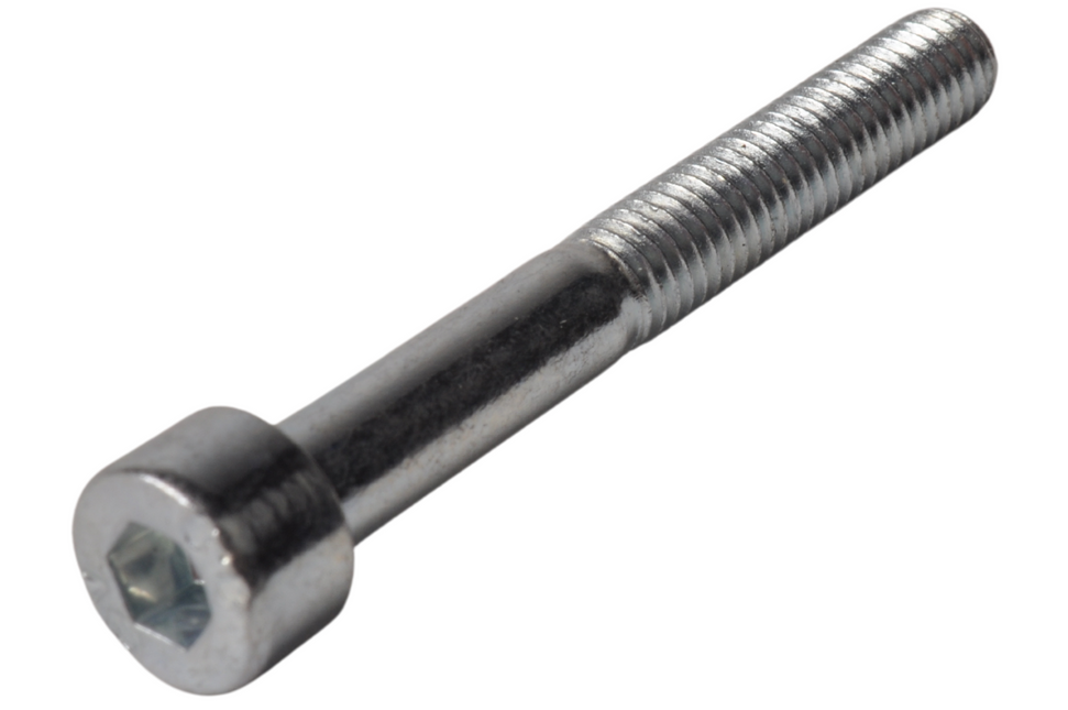 Cantonal Binnenzeskantschroef M5x40 mm