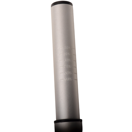 Cantonal Disselweger (aluminium)