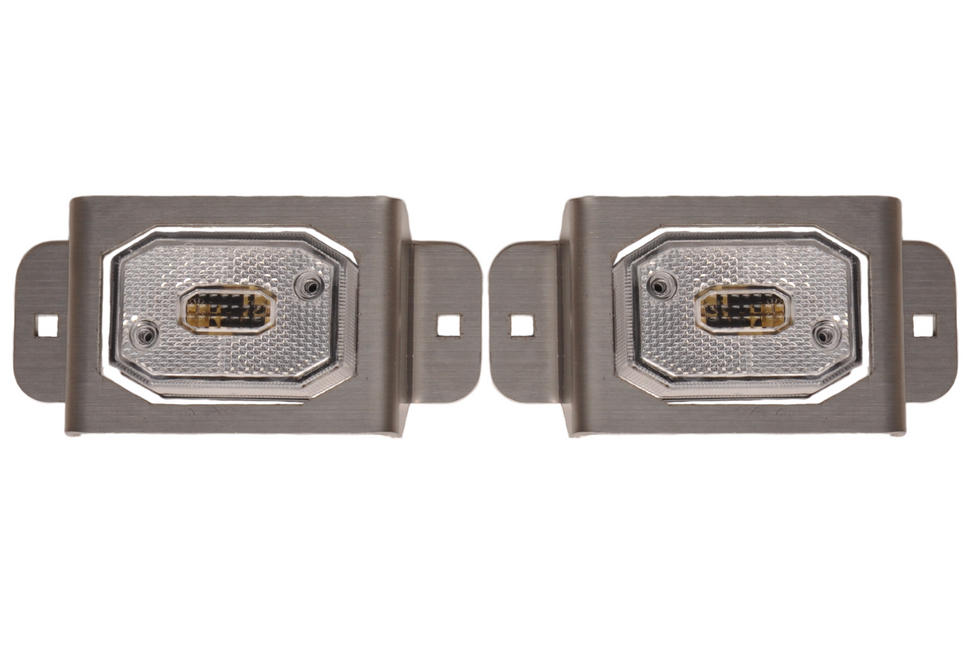 Cantonal Set van 2 beschermrekken - Geschikt voor Flexipoint achterlichten - RVS - 130x64x27 mm