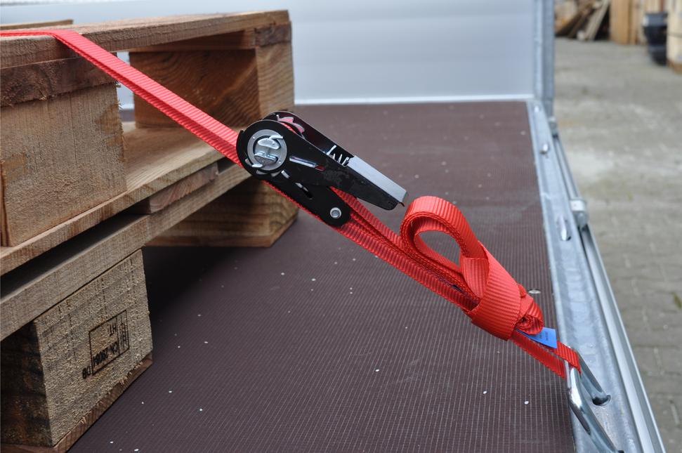 Cantonal Set van 2 spanbanden - 500x2,5 cm - rood - breekbelasting 750 kg