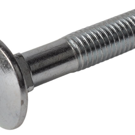 Cantonal Slotbout M10 x 50 mm