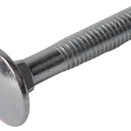 Cantonal Slotbout M6 x 35 mm