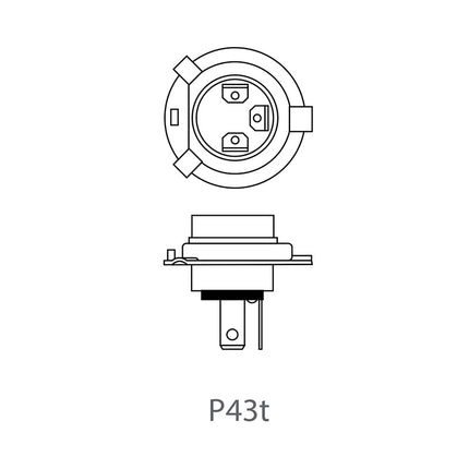 ProPlus H4 autolamp 12V 60/55W P43t in doosje